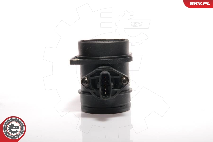 Mass Air Flow Sensor